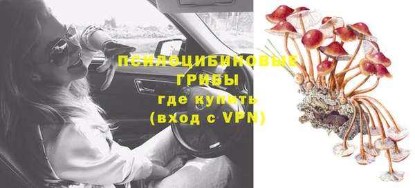 бошки Армянск