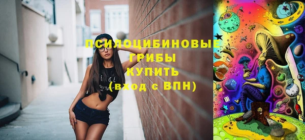 прущая мука Арсеньев