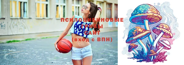 прущая мука Арсеньев