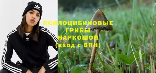 прущая мука Арсеньев