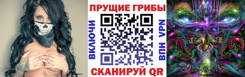 гидра зеркало  Канаш  Галлюциногенные грибы Psilocybine cubensis 